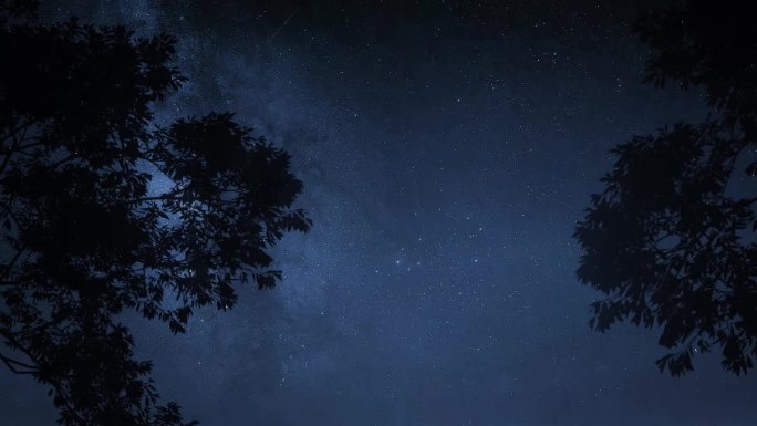夜晚树梢星空夜空银河延时