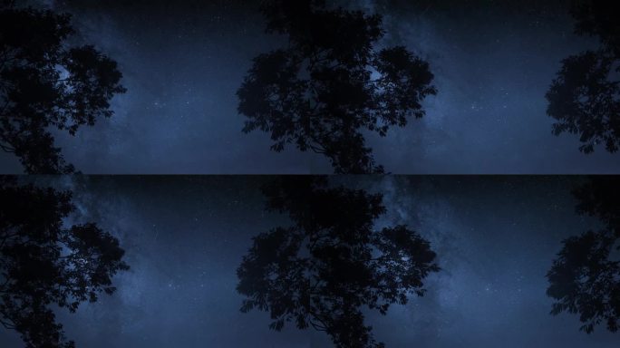 夜晚树梢星空夜空银河延时