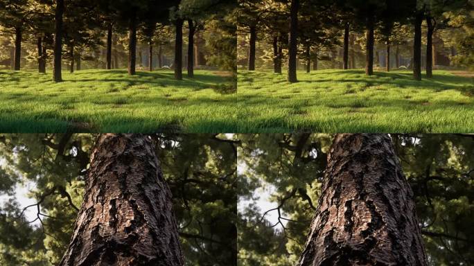 森林素材大自然春天生机绿意清晨阳光照耀