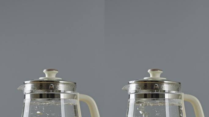 养生壶煮水烧开水