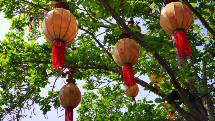 石家庄正定荣国府春色春意灯笼绿树屋檐