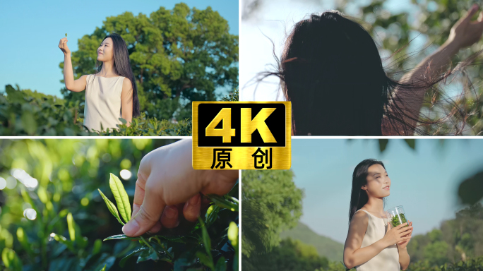 茶园美女清新自然采茶摘茶绿茶玻璃瓶