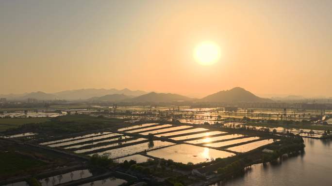 4K江南水乡夕阳下的农田