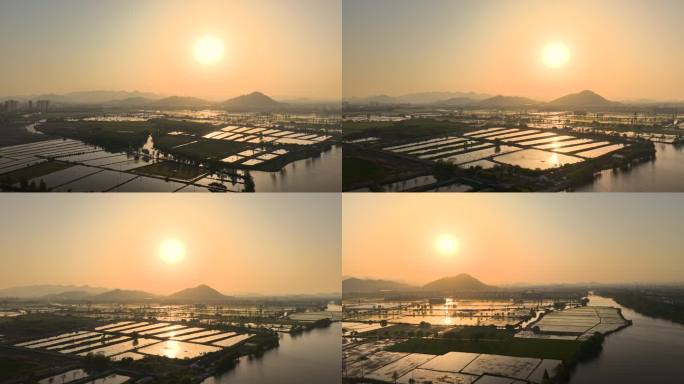 4K江南水乡夕阳下的农田
