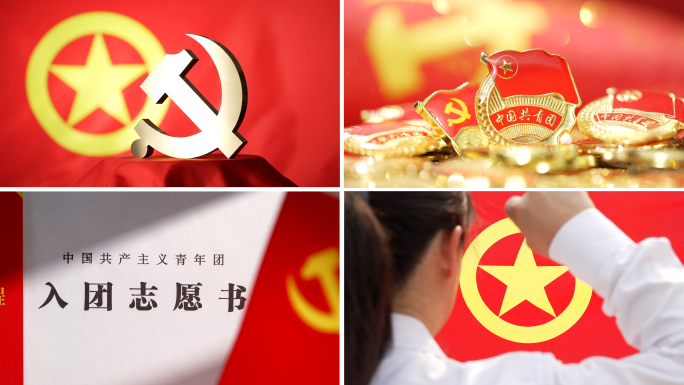 共青团五四青年节团徽团员入团