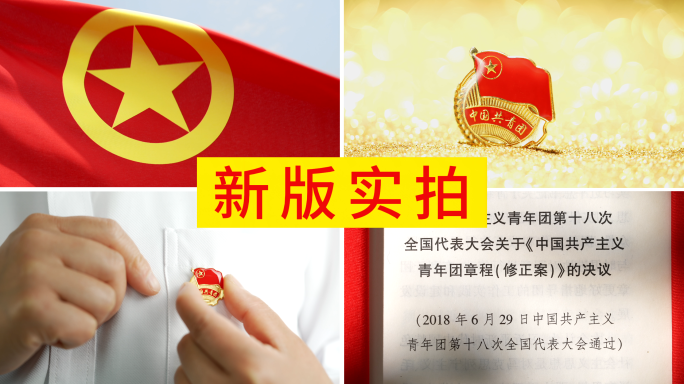 共青团五四青年节团徽团员入团