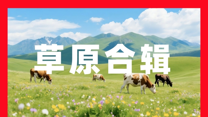 大草原草原航拍草原风光