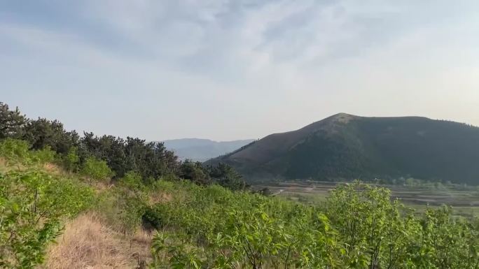 春日爬山