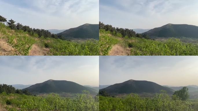春日爬山