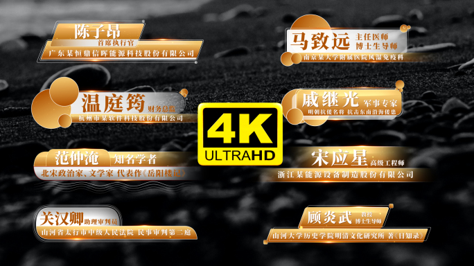 16款金色人名条 字幕条 03