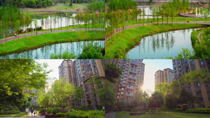 都市公园小区游玩散步锻炼幸福生活