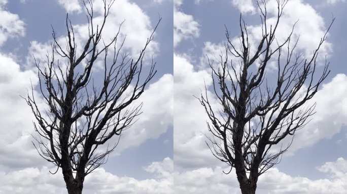 4K原创旅游拍照