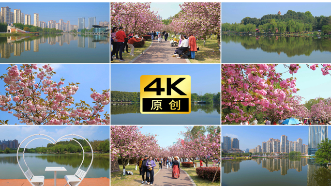 成都市青白江区凤凰湖