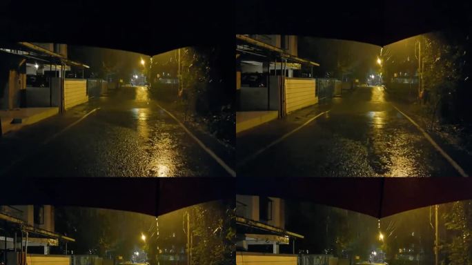 夜晚路灯下雨