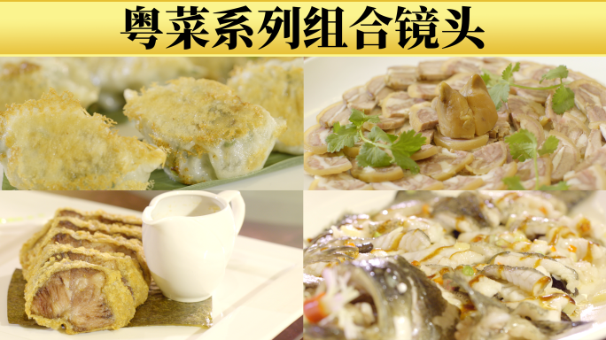 广府特色粤菜酱油鸡猪手蒸鱼肉煎饺