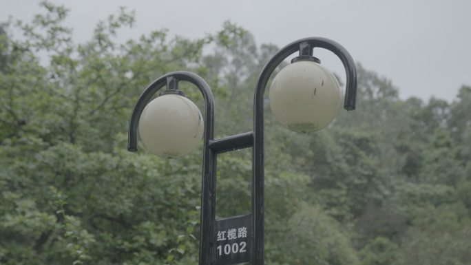 雨中的路灯
