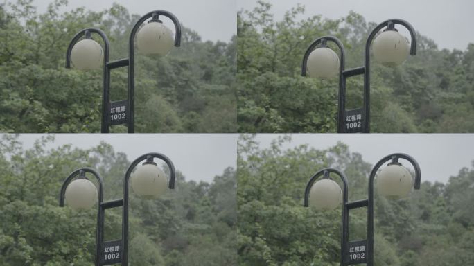 雨中的路灯