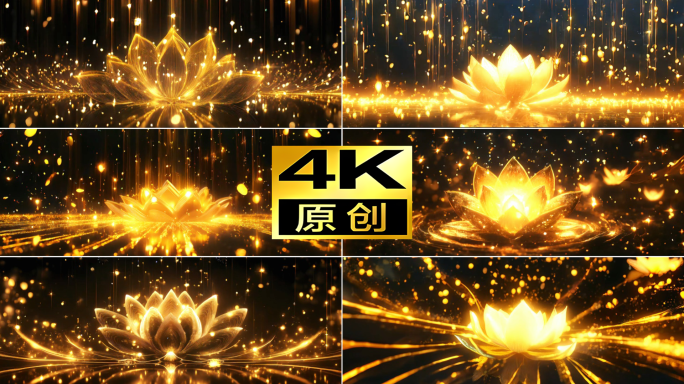 4K金色莲花
