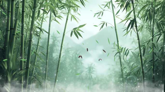 4款大气竹林烟雾舞台背景