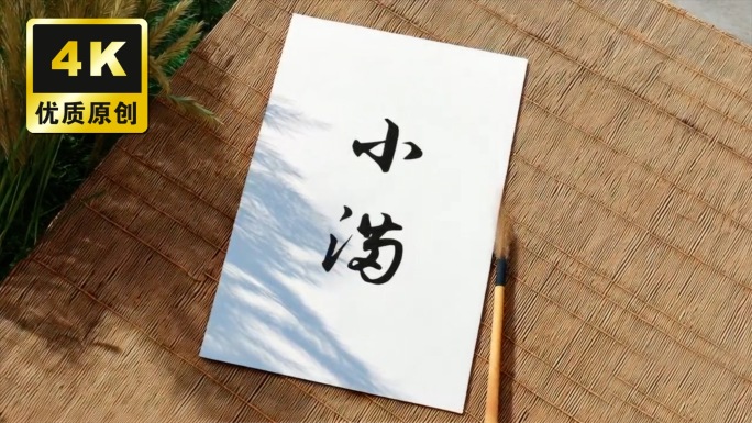 小满芒种节气农作物小麦种植田间种植播种