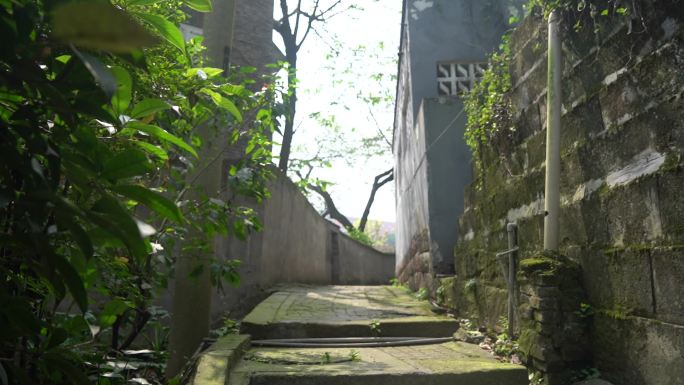 青苔石阶的岁月痕迹