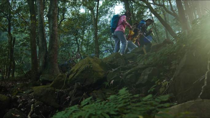 家庭户外森林徒步旅行一家三口树林徒步爬山