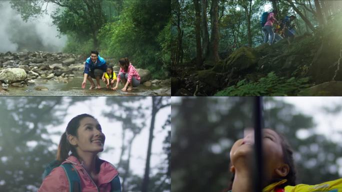 家庭户外森林徒步旅行一家三口树林徒步爬山