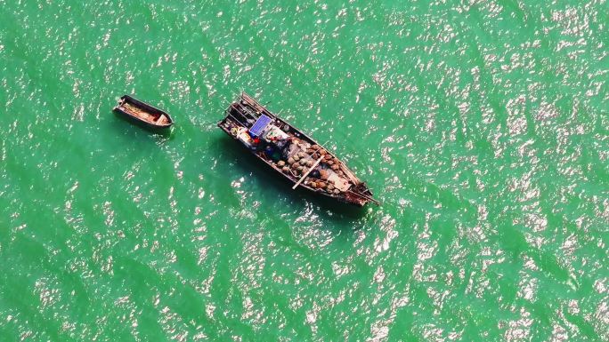 黄河入海口黄蓝交汇4k高清素材