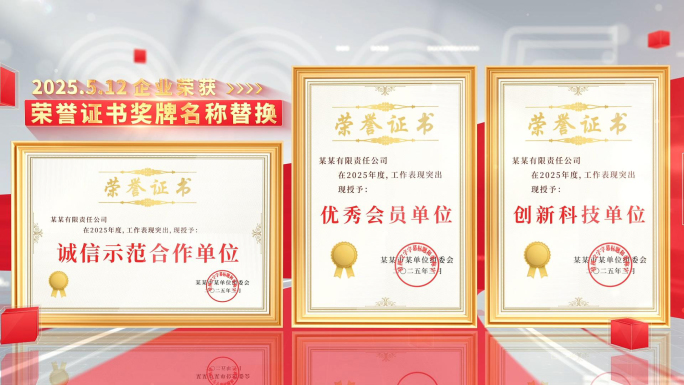 党政多荣誉多证书奖牌展示
