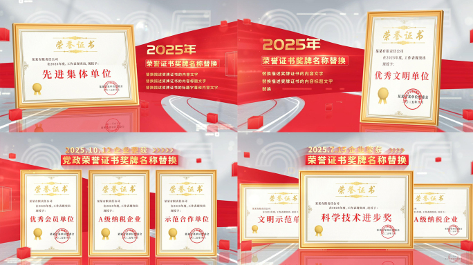 党政多荣誉多证书奖牌展示
