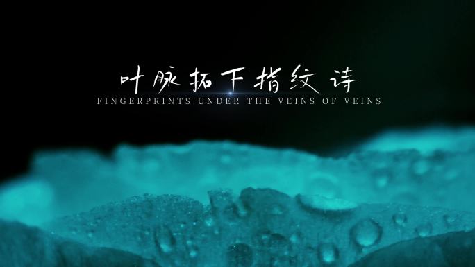 情绪文艺高级感文字模版