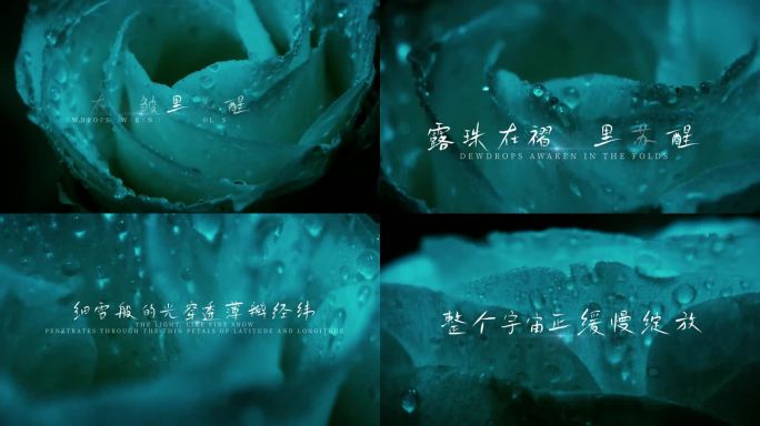 情绪文艺高级感文字模版