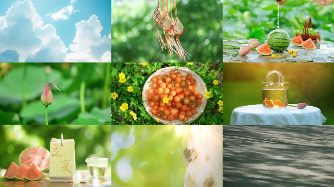 立夏 立夏节气 夏天 夏日 荷花 西瓜