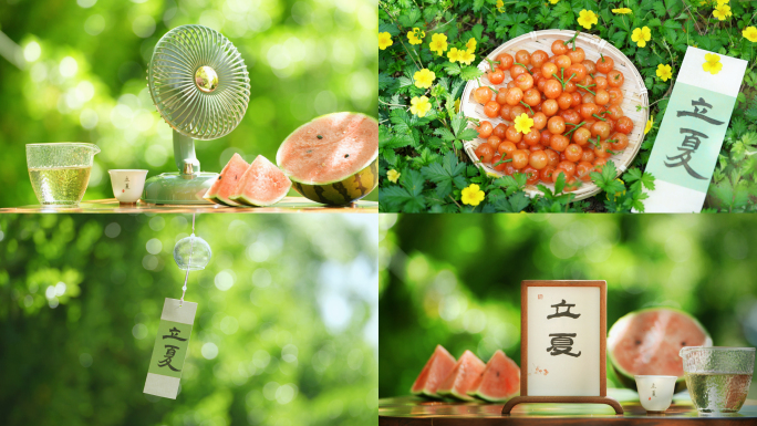 立夏 立夏节气 夏天 夏日 荷花 西瓜