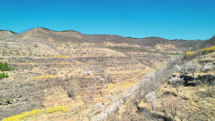 山间公路与自然风光春日山景与蜿蜒道路