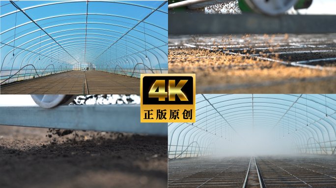 水稻育苗铺土素材春季水稻种植过程水稻播种