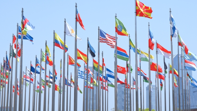 各国国旗联合国一带一路世界格局全球化