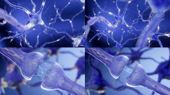 C4D-神经元突触信号传递神经细胞