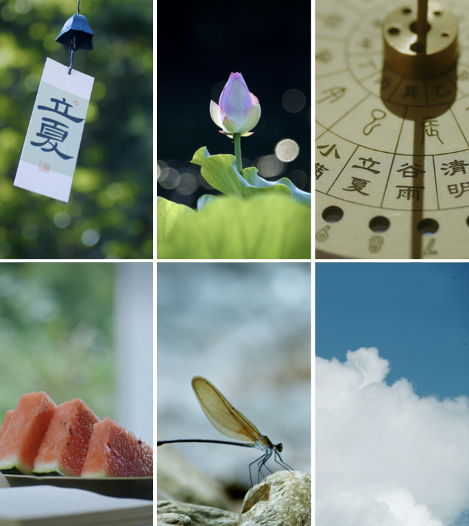 立夏 立夏竖版 西瓜 荷花 夏天风景视频