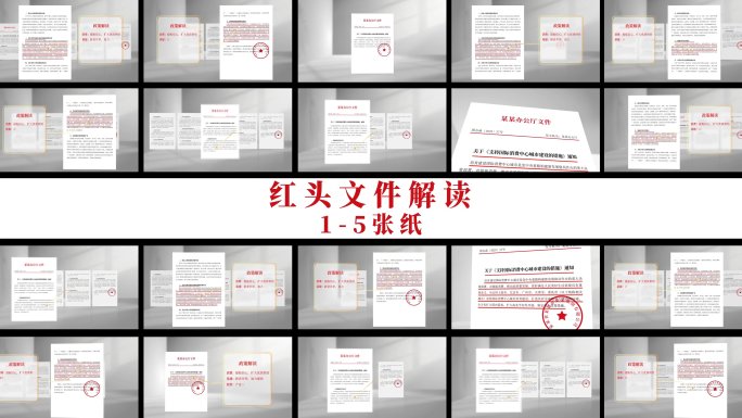 红头文件 政府文件 党建党政  政府报告