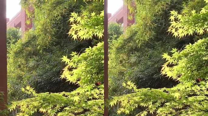 斜光绿叶互交织