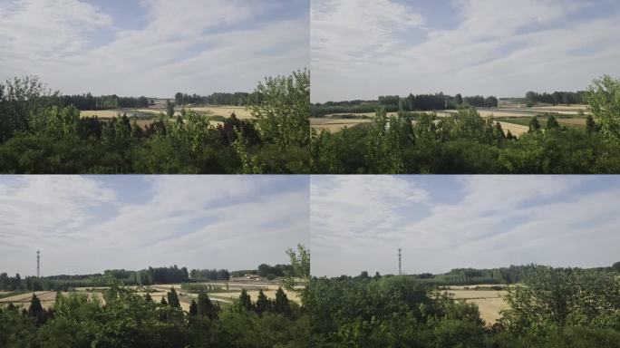 VID_20240607_163326