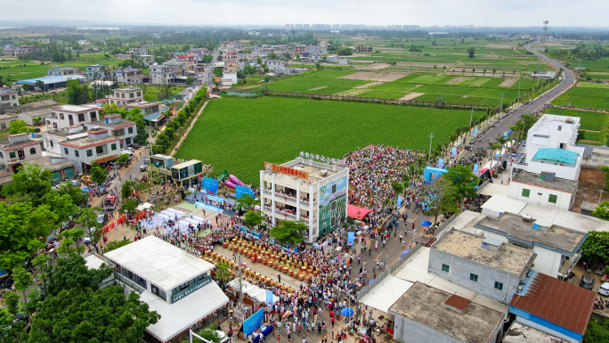 2025 澄迈桥头地瓜文化节