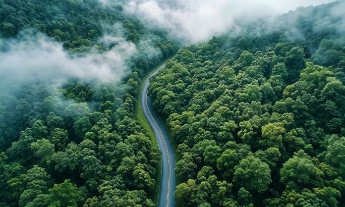 雾绕山间森林秘境森林阳光航拍