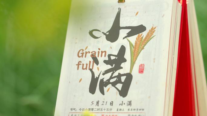 小满节气二十四节气农田农业小满田野农作物
