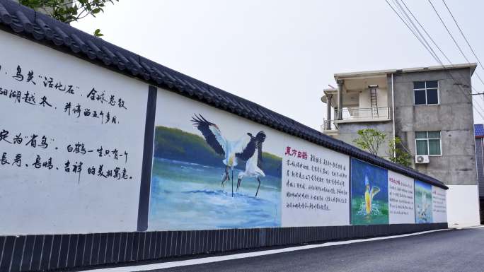 菱塘村鄱阳湖候鸟观赏点