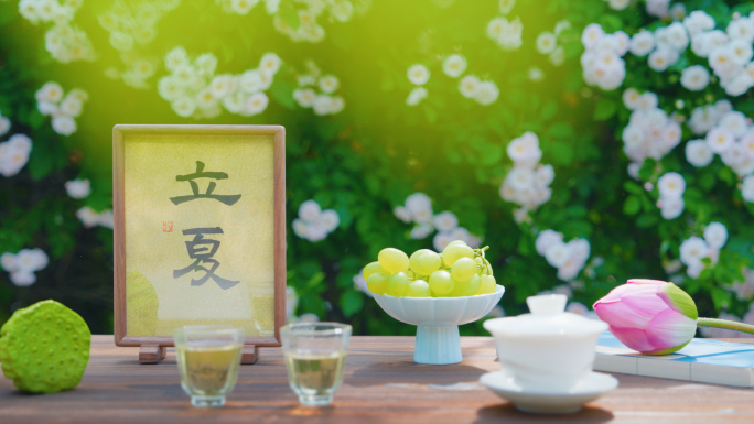 立夏 立夏节气 夏天 夏日 唯美夏天空镜