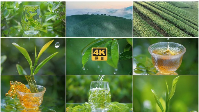 茶叶采摘茶园泡茶