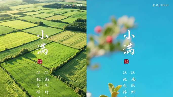 中国节气小满竖屏AE模版