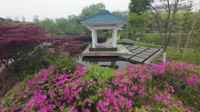 城市轨道交通与公园景观